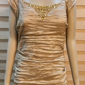 Alex Champaign Evening Gown Size 10